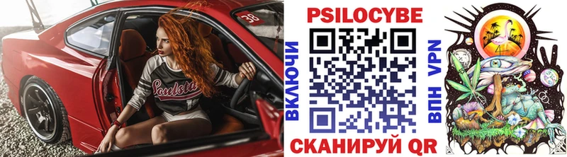 Псилоцибиновые грибы Psilocybine cubensis  Купить где  Красноярск 